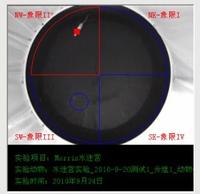 动物行为学测验站 DB018