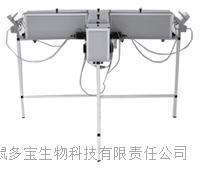 大小鼠T迷宫测验视频分析系统 DB-T型